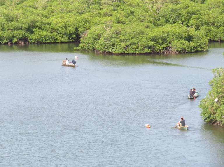 Refugio De Vida Silvestre Laguna De Guaimoreto Aside